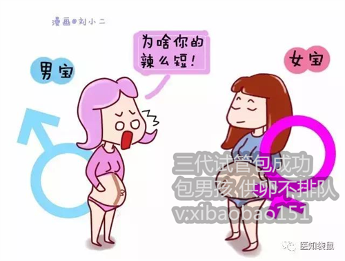 50岁供卵试管婴儿成功率,香港可以做三代试管吗