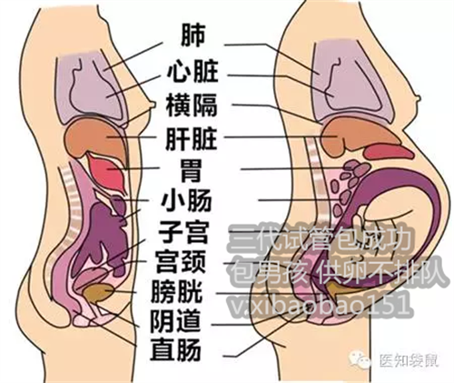 39岁供卵试管婴儿的成功率,泰国试管婴儿移植后