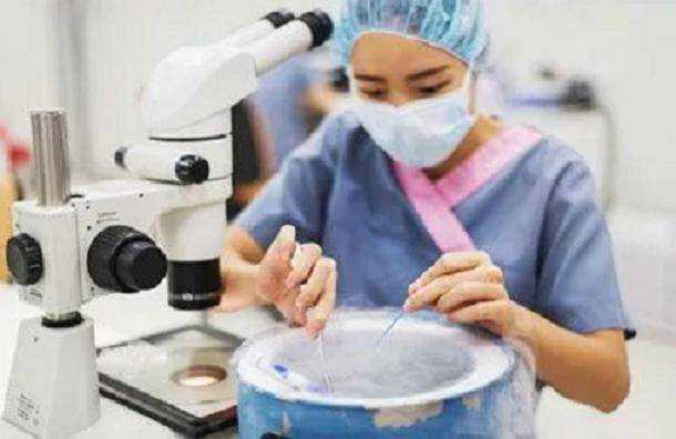 北京供卵自怀流程全解：从术前检查到成功验孕
